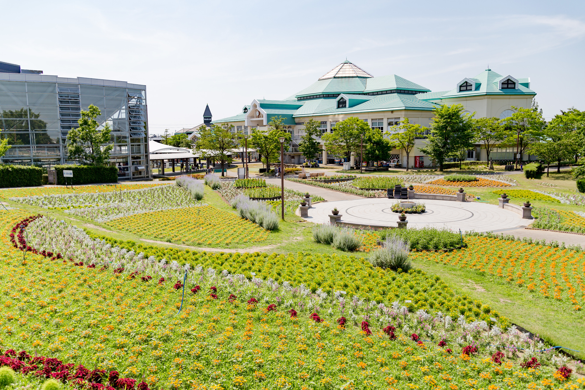 新潟のペーパードライバー講習ならここ！おすすめスクール ペーパードライバーナビコラム