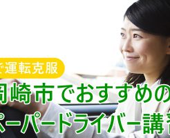 ぺーパードライバー向けのお役立ち情報をご紹介